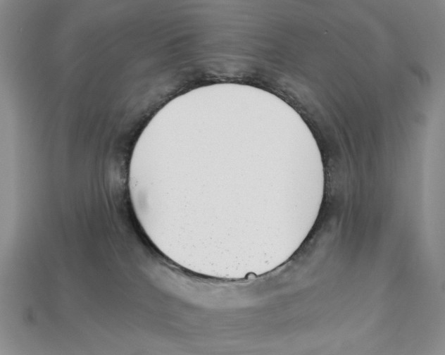 X0000112940040200909211143