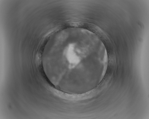 X0000112940043200909211142