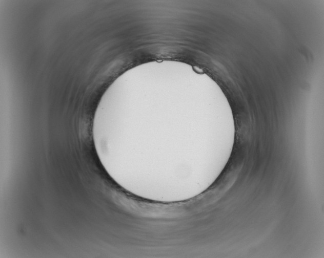 X0000112940044200909211142