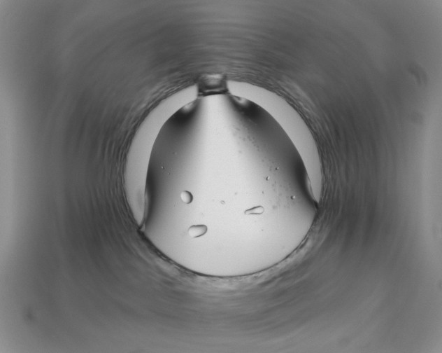 X0000112940045200909211142