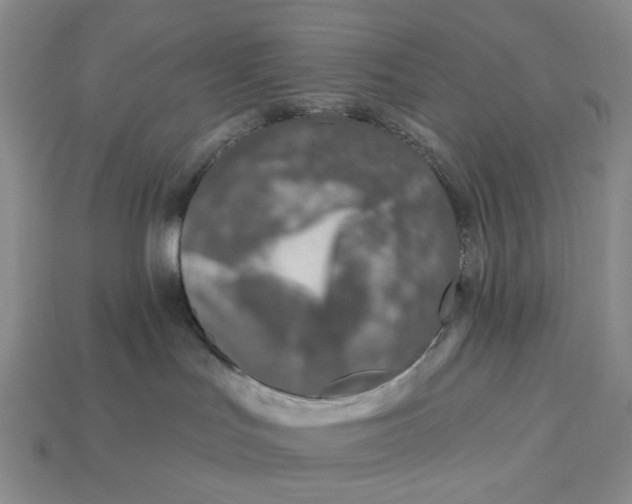 X0000112940047200909211142