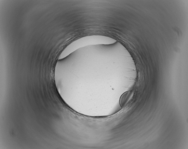 X0000112940048200909211142