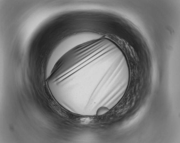 X0000112940050200909211142