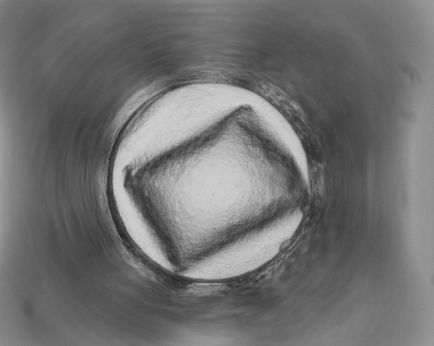 X0000112940051200909211142