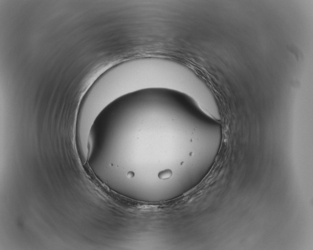X0000112940052200909211142