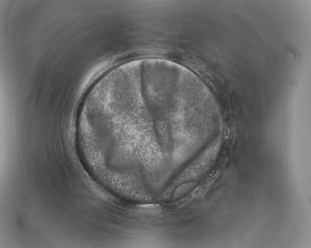 X0000112940053200909211142