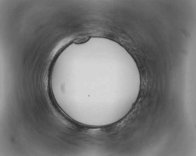 X0000112940054200909211142
