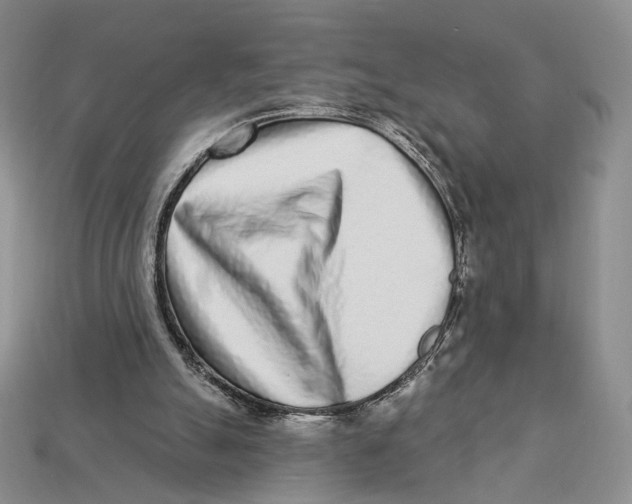 X0000112940055200909211142
