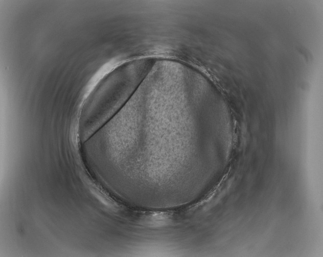 X0000112940056200909211142