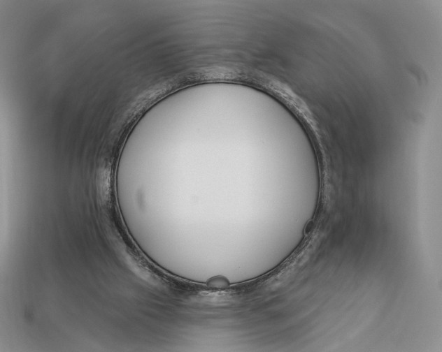X0000112940057200909211142
