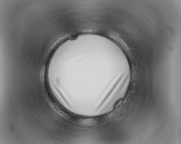X0000112940058200909211142