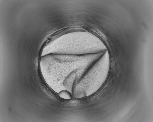 X0000112940059200909211142