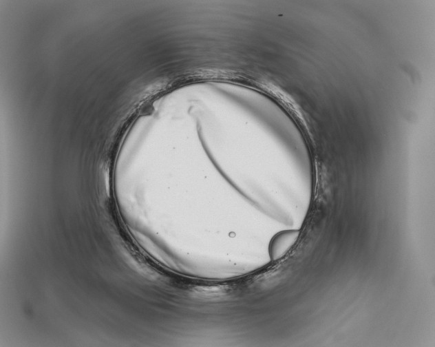 X0000112940061200909211142