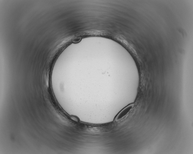 X0000112940062200909211142