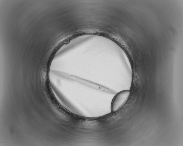X0000112940063200909211142