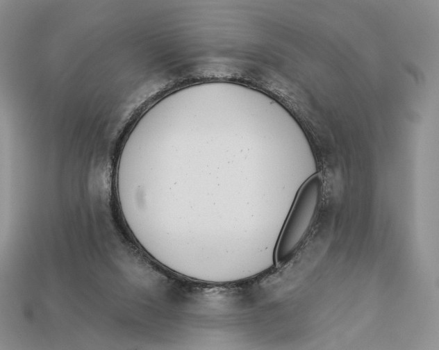X0000112940064200909211142