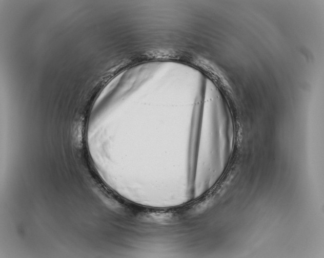 X0000112940065200909211142
