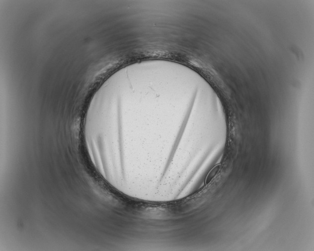X0000112940066200909211142