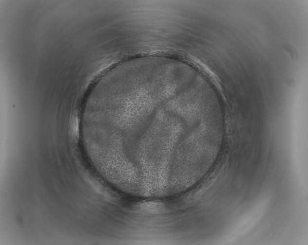 X0000112940067200909211142
