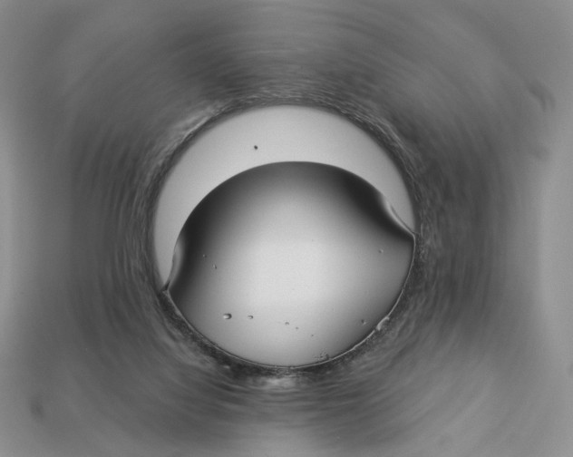 X0000112940068200909211142