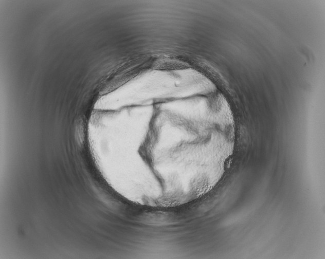 X0000112940069200909211142