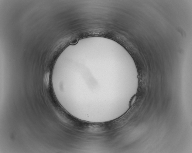 X0000112940070200909211142