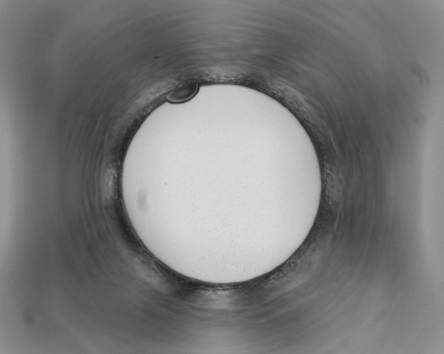 X0000112940071200909211142