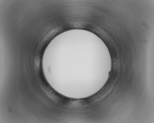 X0000112940072200909211142