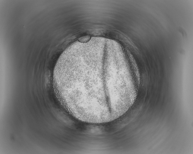 X0000112940073200909211142