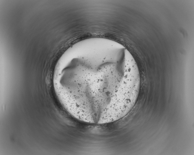 X0000112940074200909211142
