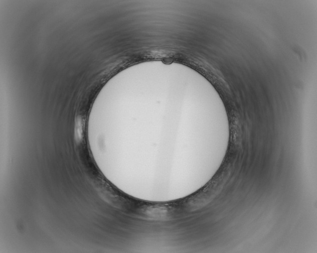 X0000112940075200909211142