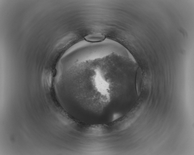 X0000112940076200909211142