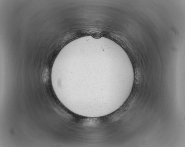 X0000112940077200909211142