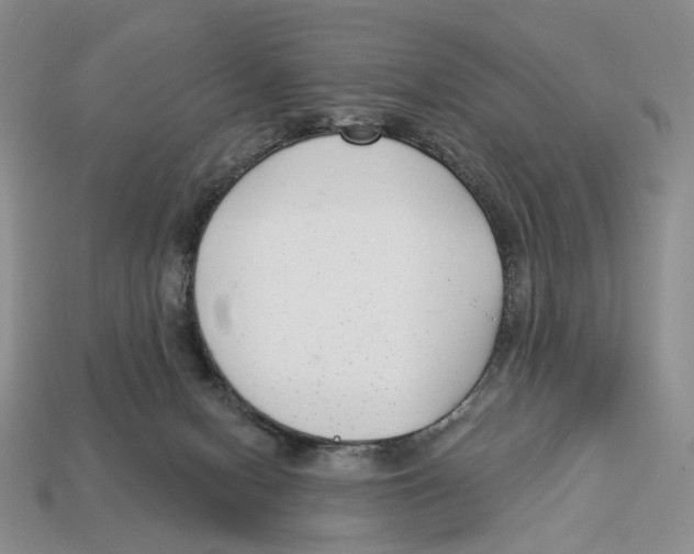 X0000112940078200909211142