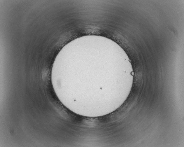 X0000112940079200909211142