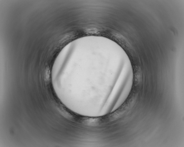 X0000112940081200909211142