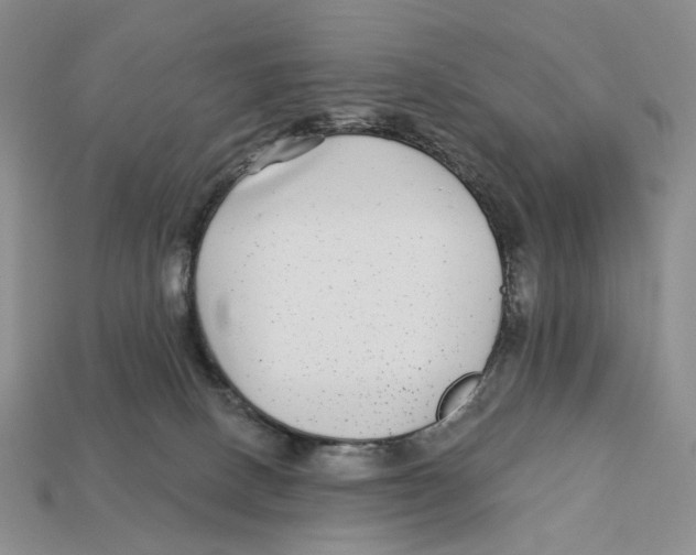 X0000112940082200909211142
