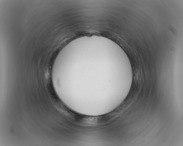 X0000112940084200909211142
