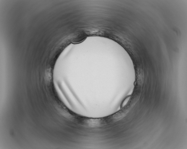 X0000112940085200909211142