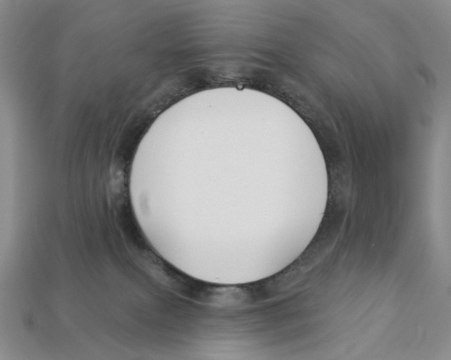 X0000112940087200909211142