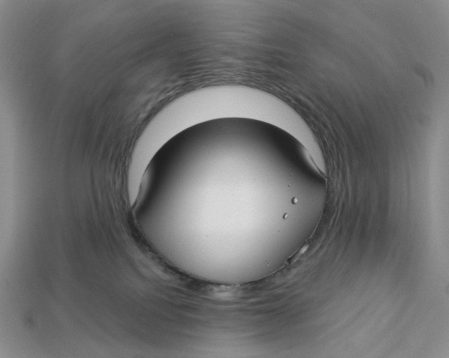 X0000112940088200909211142