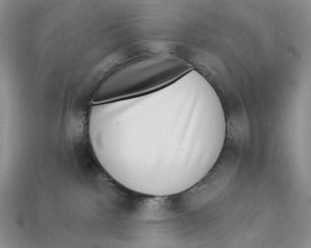 X0000112940092200909211142
