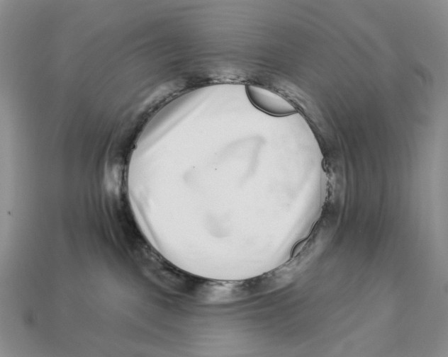 X0000112940093200909211142