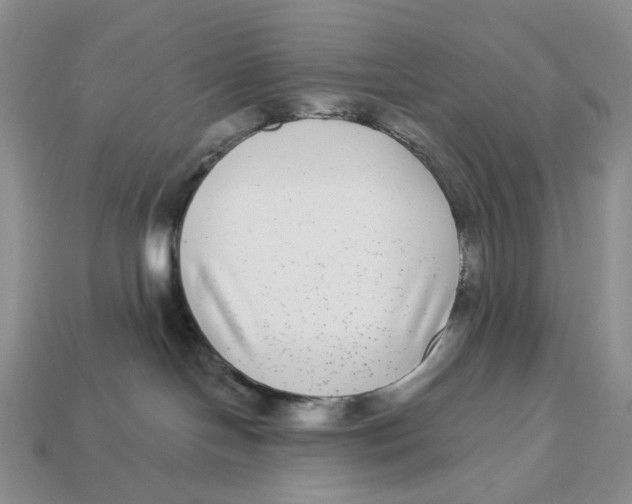 X0000112940094200909211142