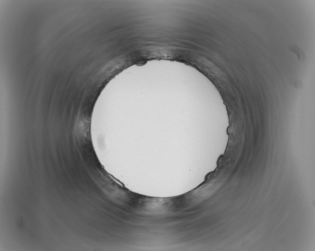 X0000112940096200909211142