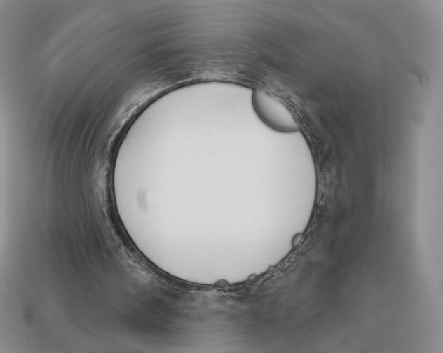 X0000112940098200909211142