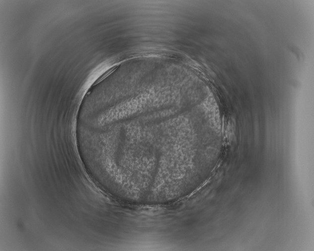 X0000112940099200909211142