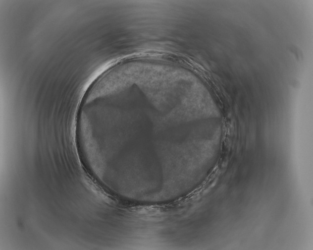 X0000112940100200909211142