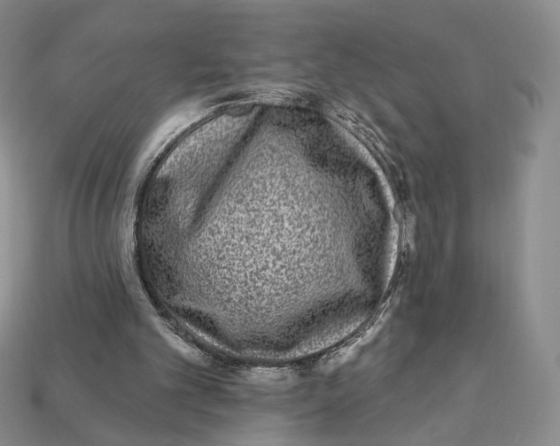 X0000112940101200909211142