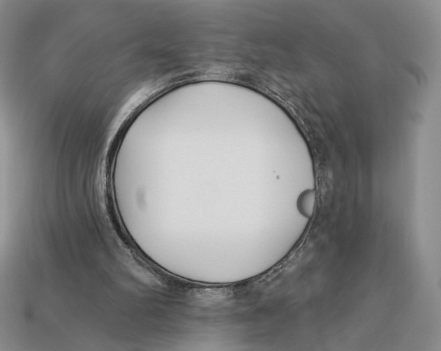 X0000112940102200909211142